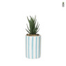 Plant in pot streep hoog - ø7.5x21 cm