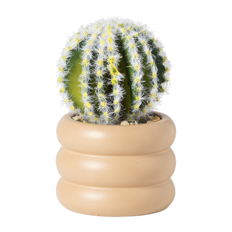 Xenos Cactus in pot bol - ø9x13.7 cm