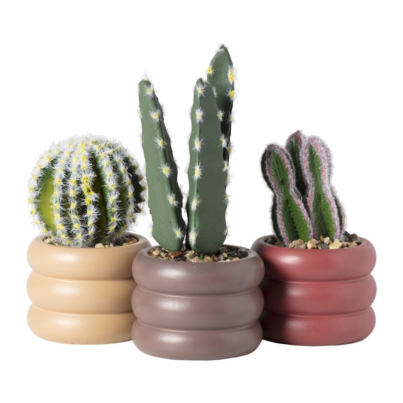 Cactus in pot bol - ø9x13.7 cm