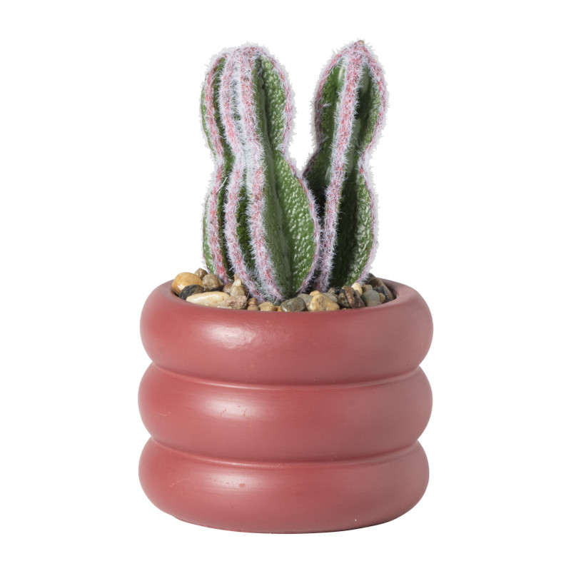 Xenos Cactus in pot laag - ø9x14.5 cm