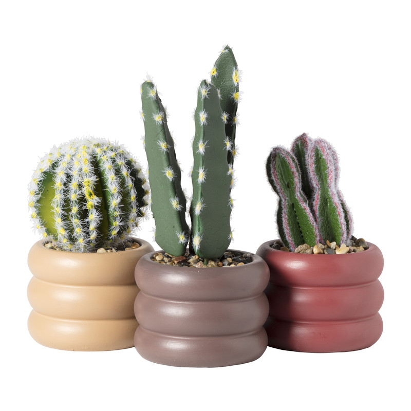 Cactus in pot laag - ø9x14.5 cm