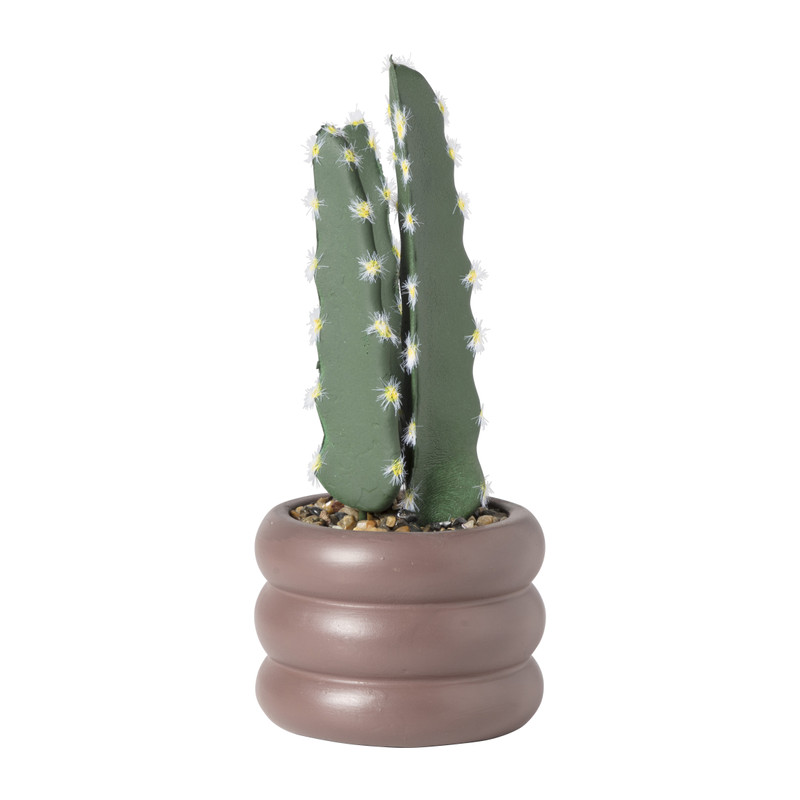 Xenos Cactus in pot hoog - ø9x20.9 cm