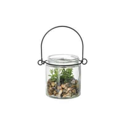 Plantje in glas - ø6x6.7 cm