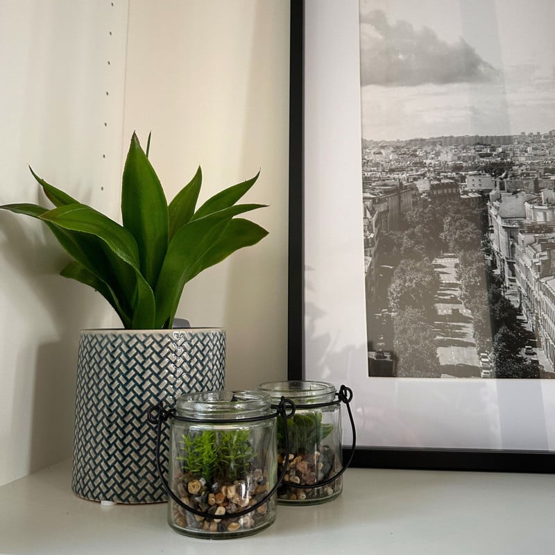 Plantje in glas - ø6x6.7 cm