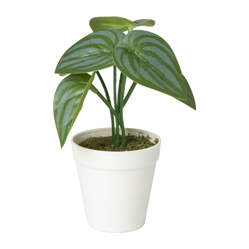 Kunstplant mini syngonium - 13 cm