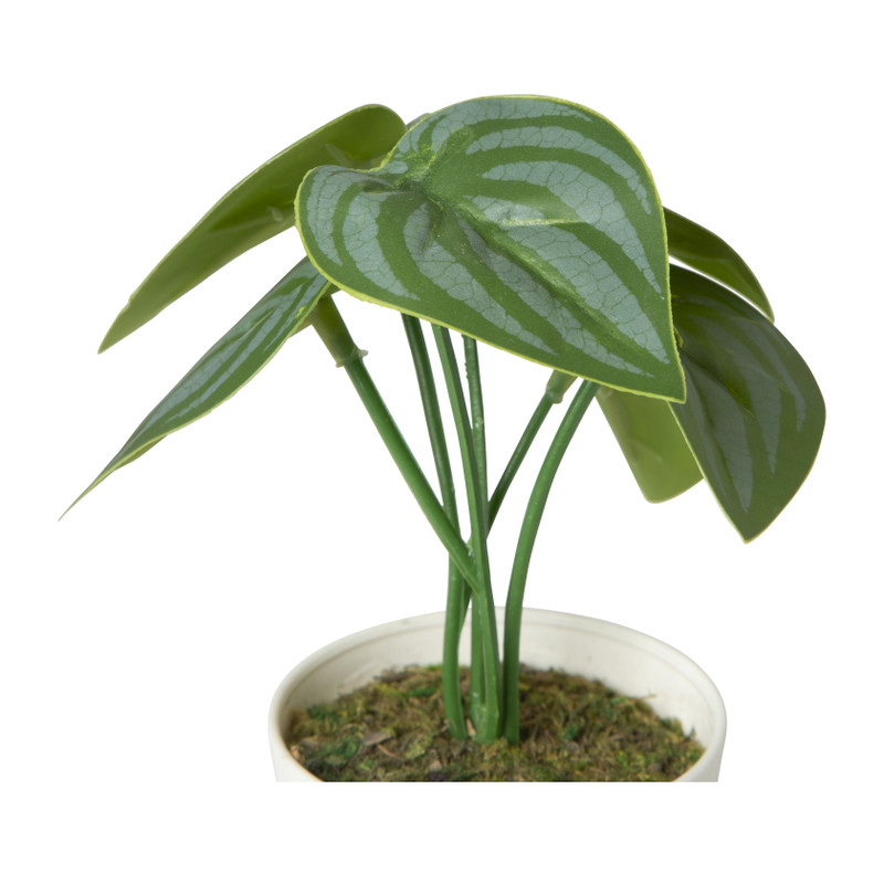 Kunstplant mini syngonium - 13 cm