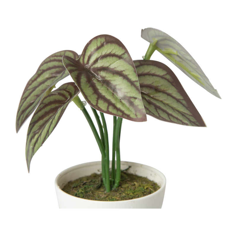 Kunstplant mini syngonium - rood - 13 cm