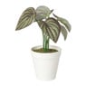 Kunstplant mini syngonium - rood - 13 cm