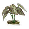 Kunstplant mini syngonium - rood - 13 cm