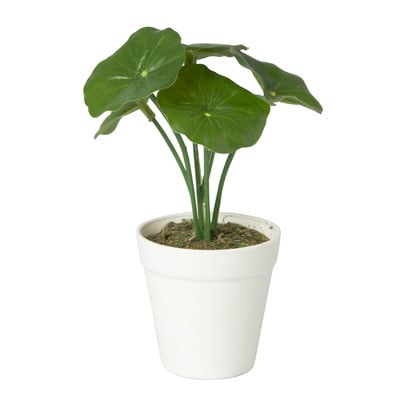 Kunstplant mini pannenkoekenplant - 13 cm