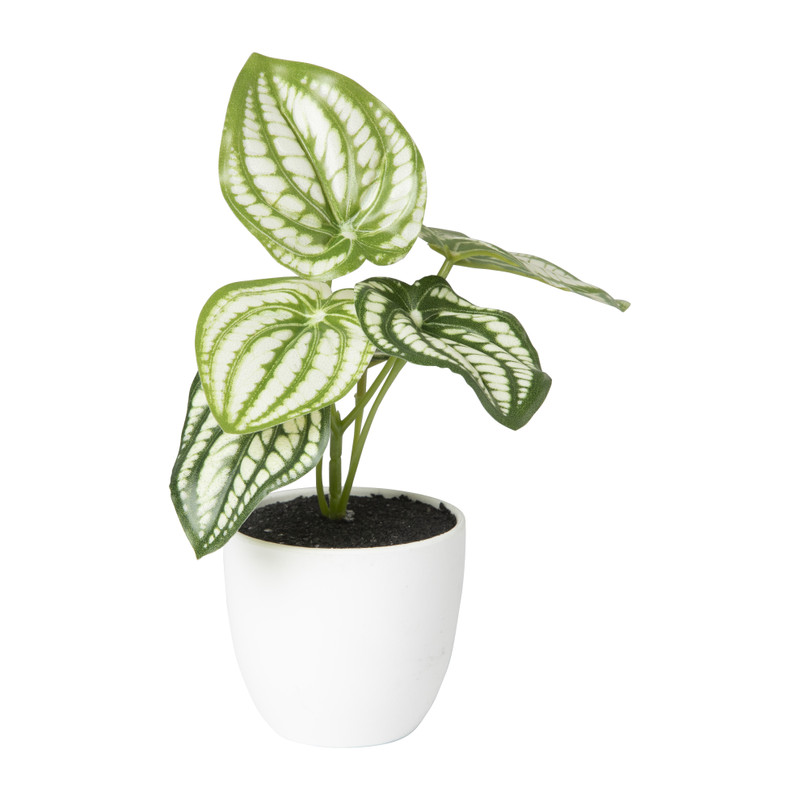 Kunstplant peperomia - 16 cm