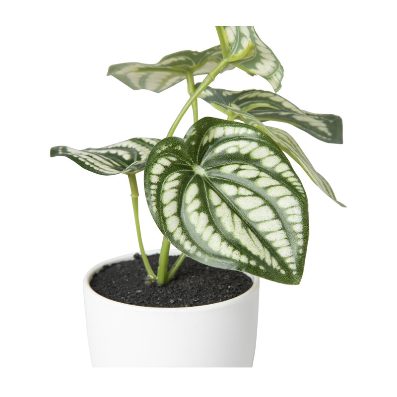 Kunstplant peperomia - 16 cm