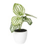 Kunstplant peperomia - 16 cm