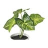 Kunstplant syngonium - 16 cm