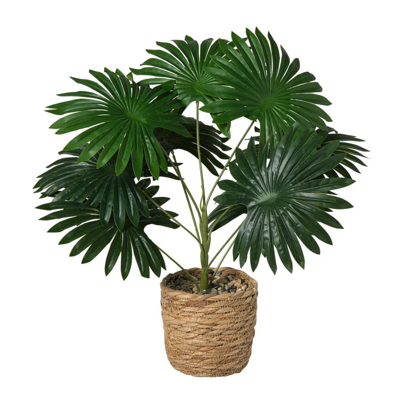 Kunstplant palm - groen - ø11.5x38 cm 
