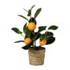 Kunst sinaasappelboom - oranje/groen - ø8.5x28 cm