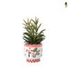 Kunstplant in potje Marbella - diverse varianten - ø8x20 cm