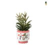 Kunstplant in potje Marbella - diverse varianten - ø8x20 cm