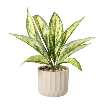 Plant in pot - ø10.5x26 cm - diverse varianten
