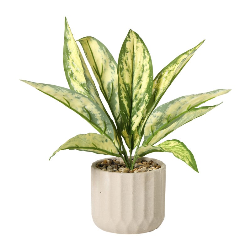 Plant in pot - ø10.5x26 cm - diverse varianten