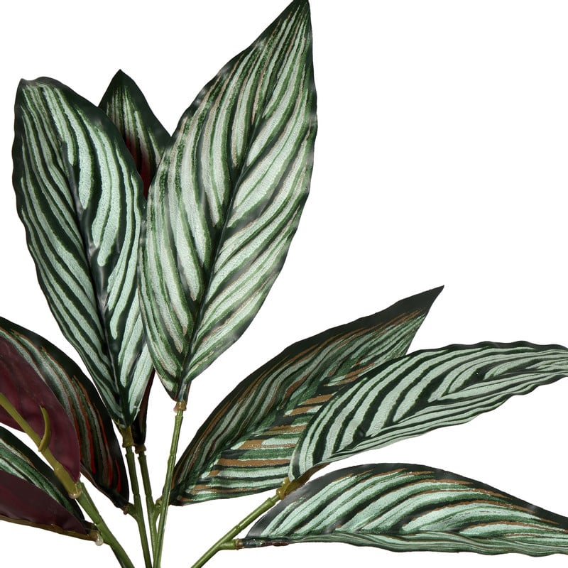 Plant in pot - ø10.5x26 cm - diverse varianten