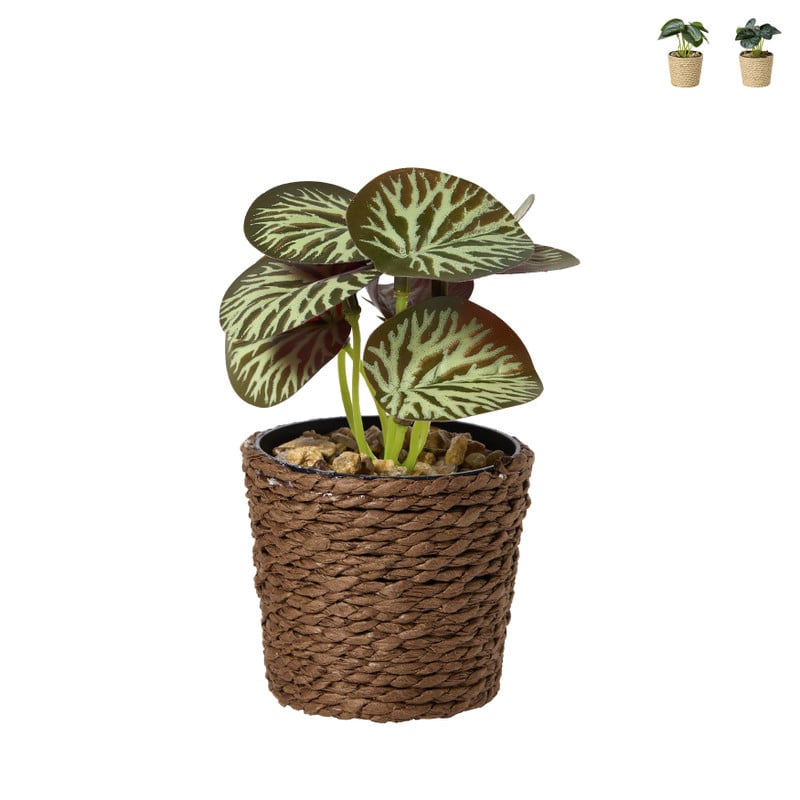 Plantje in jute pot - ø6.5x12 cm - diverse varianten