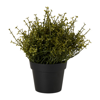 Kunstplant soleirolia in pot - groen - ø16x19 cm