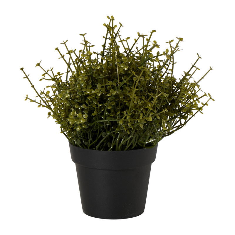 Kunstplant soleirolia in pot - groen - ø16x19 cm