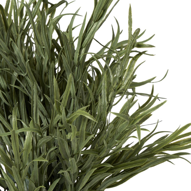 Lavendel plantje in pot - groen -  ø16x24 cm