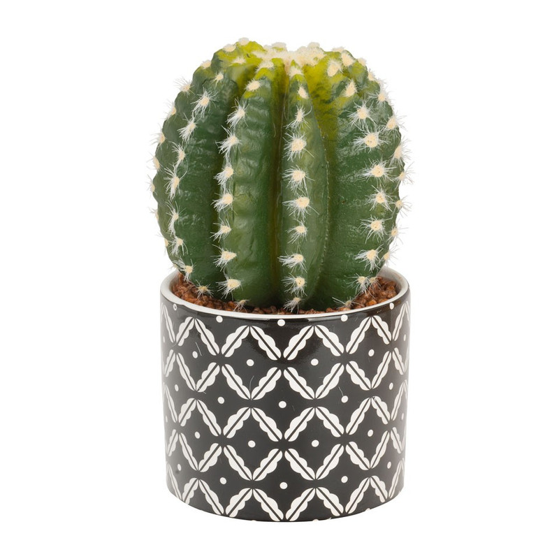Bungalow Verslijten Slordig Cactus bol in keramieken pot – 22 cm | Xenos