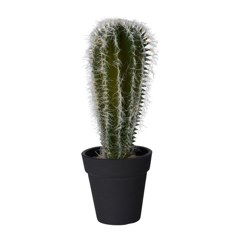 Cactus bol - 21.5 cm Xenos
