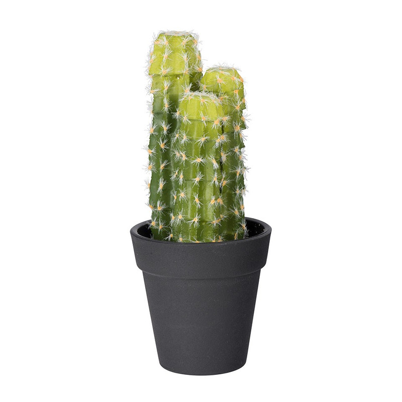 Cactus 3 takken - 18 cm |