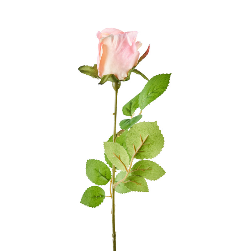 Mercedesroos - roze - 49 cm