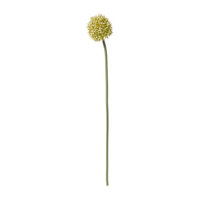 Kunstbloem allium - groen/wit - 50 cm