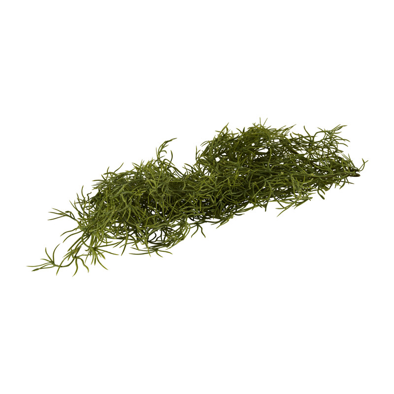 Hangtak Tilandsia - 85 cm 