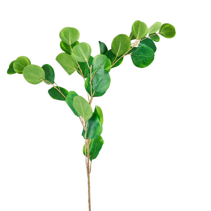 Bamboe tak rond - 90 cm