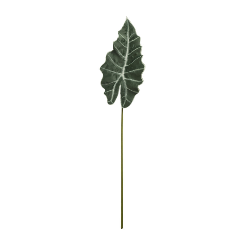 Alocasia blad - 86 cm