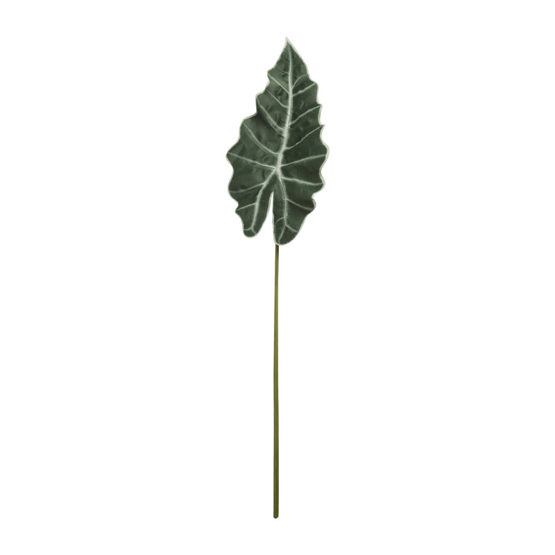 Alocasia blad - 86 cm 