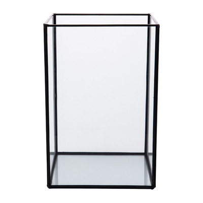 afgunst punt blad Terrarium rechthoekig - glas - 18x18x27 cm | Xenos