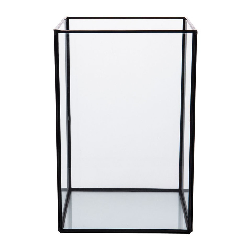 Bijdrager Onmiddellijk Celsius Terrarium rechthoekig - glas - 18x18x27 cm | Xenos