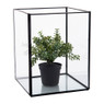 Terrarium vierkant - glas - 15x15x19 cm