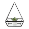 Terrarium driehoek - glas - 17x17x21,5 cm