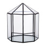 Terrarium achthoek - glas - 19,5x18x23 cm