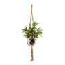 Macrame hanger met pot - 13x15x92 cm - oker