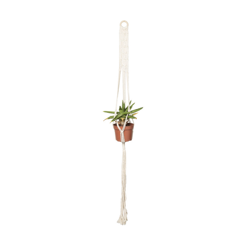 Macrame plantenhanger - diverse varianten - 110x5x0,5 cm