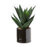 Plantenpot - zwart - 13.7x12.5 cm