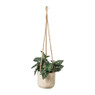 Hangende plantenpot - hout - ⌀14x12 cm 