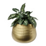 Plantenpot gehamerd - goud - 22x22x15 cm 
