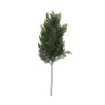 Conifeer tak - 66 cm