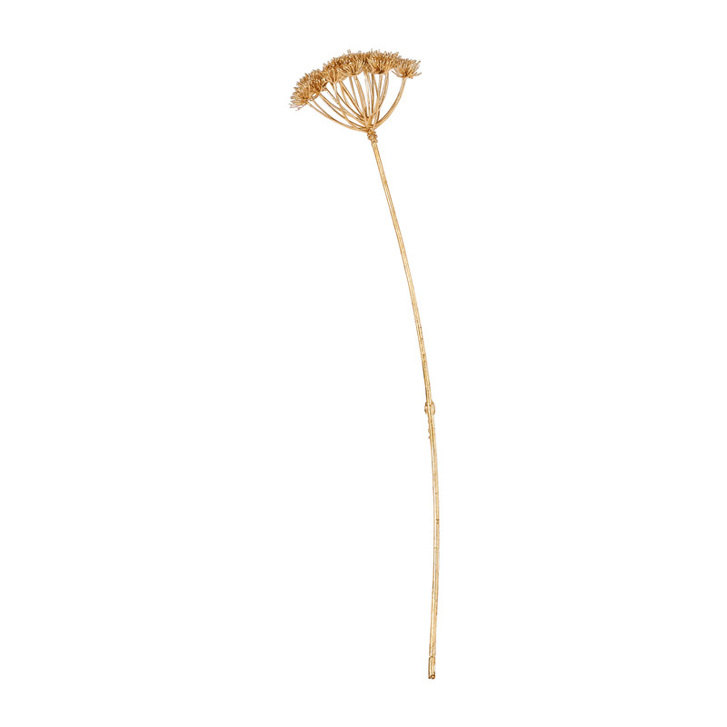 Allium - goudkleurig - 57 cm